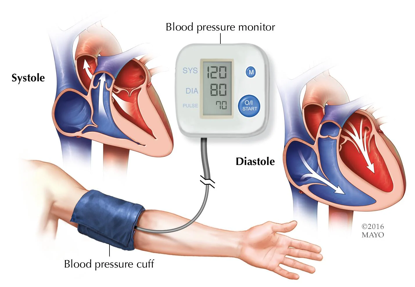 blood-pressure-measurement